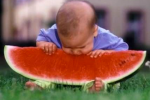 baby eating watermelon